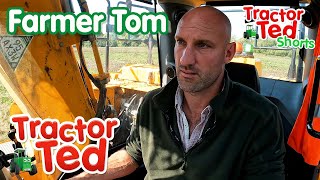 Lets Look At Farmer Tom On Fathers Day 👩‍🌾  Tractor Ted Shorts  Tractor Ted Official Channel [upl. by Jacquelin]