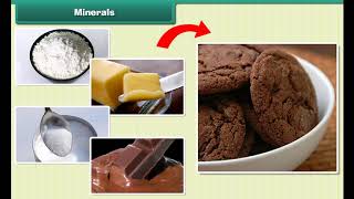 Class 5 Science  Rocks and Minerals  Types of Rocks [upl. by Ahsenac]