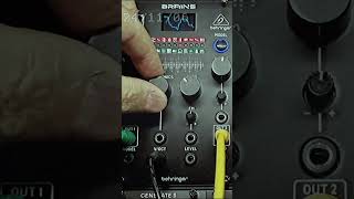 Behringer GRIND amp BRAINS  A6  Chords MODEL  RAW SOUND Short [upl. by Tobiah55]