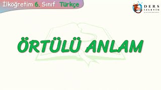 ÖRTÜLÜ ANLAM [upl. by Aniuqal]