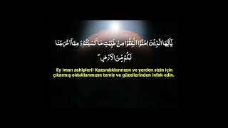 142  Most Beautiful Surah Al Baqarah 267 Recitation with Turkish Translation [upl. by Teerpnam]