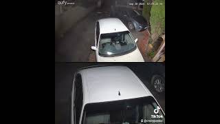 Fawkner thiefs try to break in cars [upl. by Ybur]