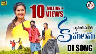 KATTAPONTI POIETI KAMALAMA  SUPER HIT DJ SONG  JANULYRI  TELUGU DJ FOLK SONG  BsFolkMusic [upl. by Riddle]