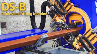 DSB Automated Drilling Machine [upl. by Ahsirt]