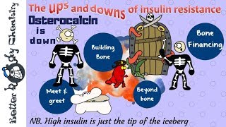 Osteocalcin in insulin resistance [upl. by Cosme142]