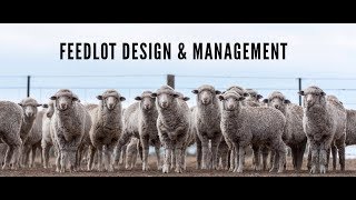 Practical feedlot seminar Feedlot design and management [upl. by Adlesirhc]