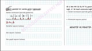 KALITIM 1DERS  KALITIMA GİRİŞ [upl. by Hoxie]