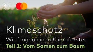 KLIMASCHUTZ 1 Vom Samen zum Baum Wir fragen einen Klimaförster  Priceless Planet Coalition [upl. by Saretta]