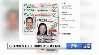 Florida making changes to drivers license [upl. by Ailima]