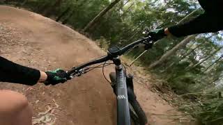 Epic New MTB Flow Trail  Superbowl  South Nowra NSW [upl. by Nnyleimaj]