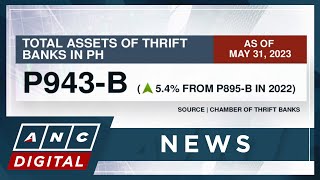 Thrift banking sector sees strong growth despite digitalization challenges  ANC [upl. by Zahara246]