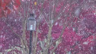 Seasons first snow falls in the DMV [upl. by Nednil946]