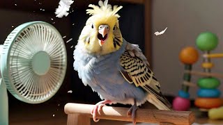 Ultimate Budgie Chirping Compilation [upl. by Littell625]