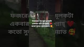 সূরা মূলক motivation youtubeshorts loveallahﷻ surah surahmulkwithurdu novolo [upl. by Tatianas]