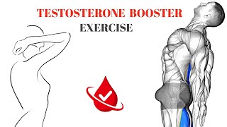 Testosterone booster exercise  stamina increase testosterone booster fitness [upl. by Hesper]