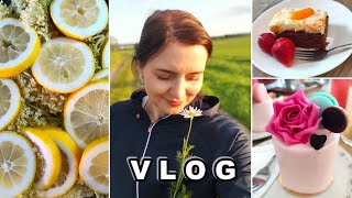 HRK  HRK ovocné řezy  Penny nákup  Bezinkový sirup  Narozeniny  VLOG [upl. by Niret]