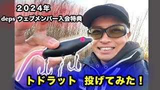 deps トドラット投げてみた！ [upl. by O'Malley]