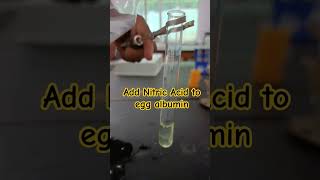 Xanthoproteic TestEgg Albumin  Nitric Acid amp heat 12th chemistryscience [upl. by Schroer]