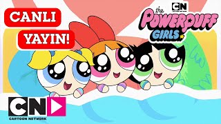 🔴 CANLI 🔴 POWERPUFF GIRLS  1 Sezon ve 2 Sezon  Cartoon Network Türkiye [upl. by Janaye951]