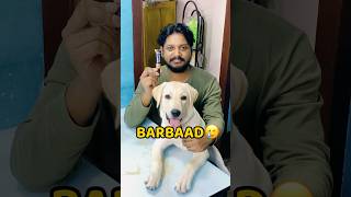 Pogo Makeup Kit Kha Gya😂😂 shorts vlog minivlog puppy labrador [upl. by Ylek886]