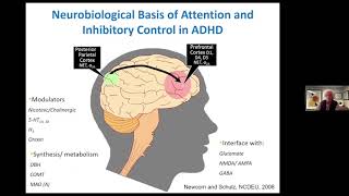 How Do Drugs for ADHD Work [upl. by Ary]