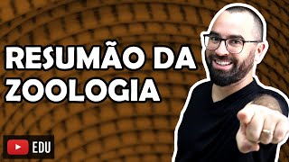 Resumão Zoologia  Apêndice 01  Módulo VI Embriologia e Zoologia  Prof Gui [upl. by Matilda917]