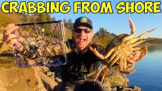 Dungeness Crabbing from Shore Crab CATCH amp COOK [upl. by Ormiston809]