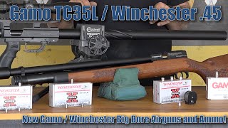 More is Freaking MORE  Gamo  Winchester gives Airgunners MORE in Big Bore Airguns for 2019 [upl. by Eckardt333]