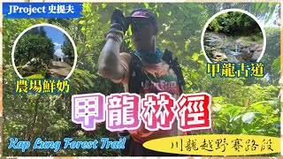 【4K】JProject 史提夫 秋冬郊遊 🌲『甲龍林徑 🪵』一條多玩法郊遊路線｜補給站多🥛｜甲龍古道｜農場鮮奶｜大帽山郊野公園｜大帽山連姐茶水亭｜川龍越野賽路段🏅【秋冬郊遊】 [upl. by Jb]