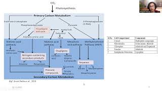 plant physiology sec metabol and terperne [upl. by Dickerson]