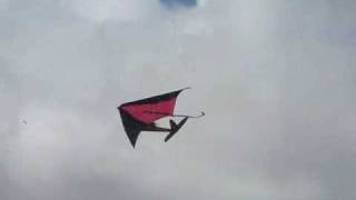 Rogallo kite wing RC Easy Star [upl. by Acysej]