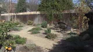 What the Heck is Storm Water Runoff  Stormwater How To [upl. by Keyser]