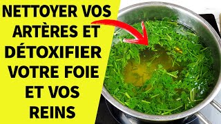 Buvez Cette Tisane Pour Nettoyer Vos Artères Et Détoxifier Votre Foie Et Vos Reins [upl. by Alhsa]