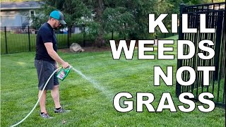 Kill weeds not grass Creeping Charlie crabgrass and clover Summer weed control made easy [upl. by Naujak]