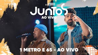 Sorriso Maroto Dilsinho  1 Metro e 65 Ao Vivo [upl. by Nesyt6]