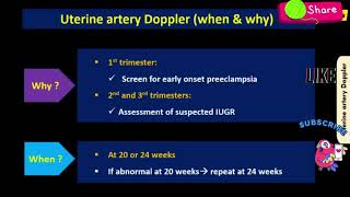 Obstetric Doppler Made Easy Part I [upl. by Einhapets351]