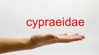 How to Pronounce cypraeidae  American English [upl. by Kroo310]