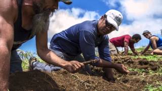 Unearthing Hawaiis lost agricultural traditions [upl. by Erasaec437]