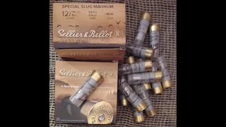 Sellier amp Bellot Special Slug 32 Magnum  Armsan ARMTAC RSA2 [upl. by Kamaria]