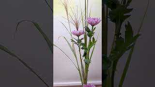 【插花】日本池坊華道生花正風體變化形芒草、粉菊花 ikebana ikenobo 池坊 いけのぼ いけばな art 插花 華道 花道 花藝 [upl. by Coy787]