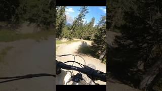 Some Clips from Leogang mtb mtbwhip foryou bikelife jump downhill whip viralvideo [upl. by Zebe]