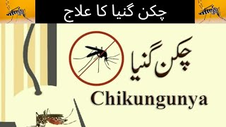 Chikungunya Treatment At Home  Chickungunya  Fever And Joint Pain  Chickungunya Virus [upl. by Acirdna475]