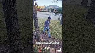 Ring video shows suspect claiming to be tree trimmer work with other man to burglarize Texas home [upl. by Eikcid548]