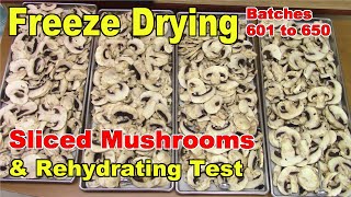 Freeze Drying amp Rehydrating Sliced Mushrooms  Batch 625 [upl. by Nivlam]