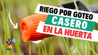 Instala un sistema de RIEGO por goteo casero con botellas [upl. by Narhet]