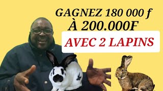 COMMENT GAGNER 200000 FCFA EN 4 MOIS AVEC 2 LAPINS [upl. by Nimaynib148]