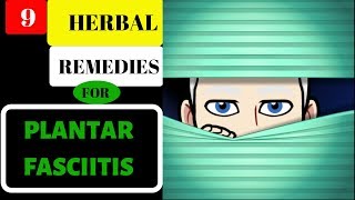 Plantar Fasciitis Cure 9 Herbal Remedies For Plantar Fasciitis Pain [upl. by Annoel417]