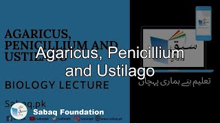 Agaricus Penicillium and Ustilago Biology Lecture  Sabaqpk [upl. by Primaveras415]