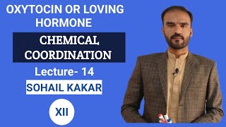 OxytocinMilk let down Hormone supraoptic and paraventricular nuclus in UrdoHindi by sohail kakar [upl. by Ennis]