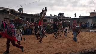 Hopi mixed animal dance 2019 [upl. by Wivinia422]